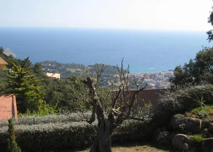 Club Villamar - Caipirinha Lloret de Mar